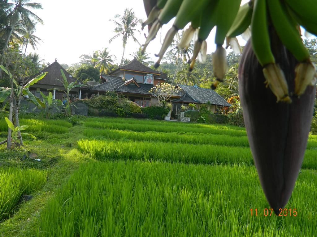 Dau Homestay Karangasem  Exterior photo