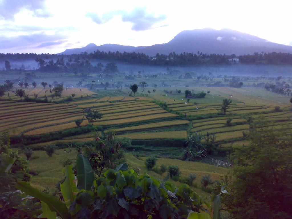 Dau Homestay Karangasem  Exterior photo